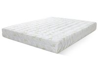 Aloe-chehol_11920x1080w